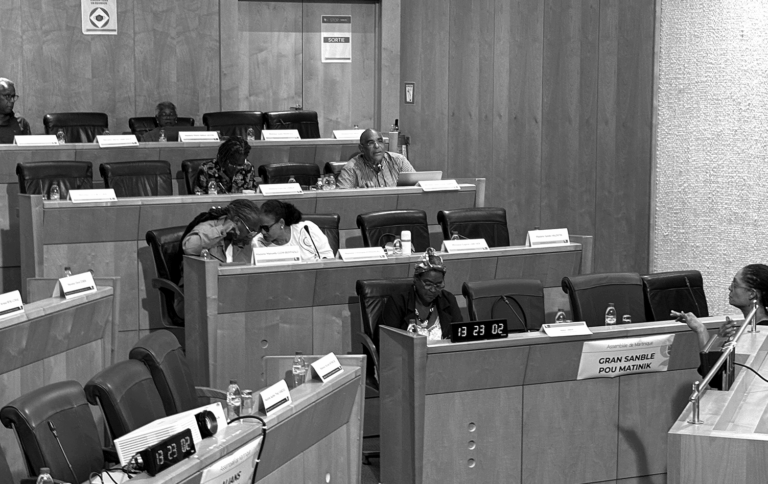 Analyse : Un Budget primitif 2025 de la CTM en recul et dans l’incertitude