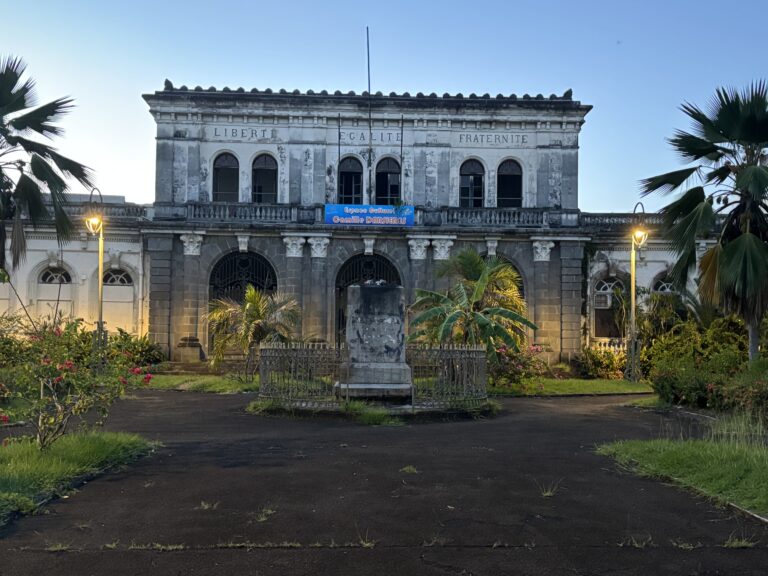 Déboulonnage des statues : Réflexion du Comité Devoir de Mémoire