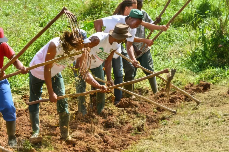 Fin de parcours pour Lasotè, figure de la transmission agricole