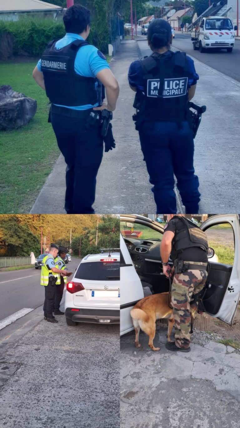 D’importantes saisies réalisées par les forces de l’ordre ces derniers jours