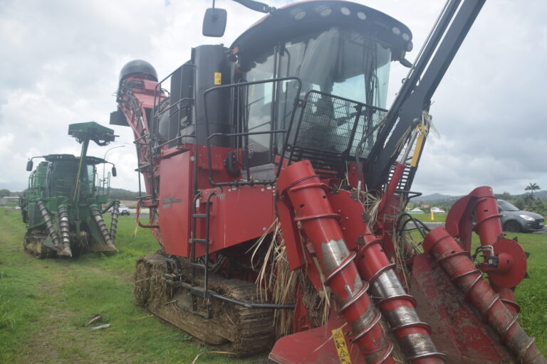 La Cour des comptes européenne estime que la politique de soutien de l’Union européenne à l’agriculture des dites régions ultrapériphériques n’a pas atteint ses objectifs