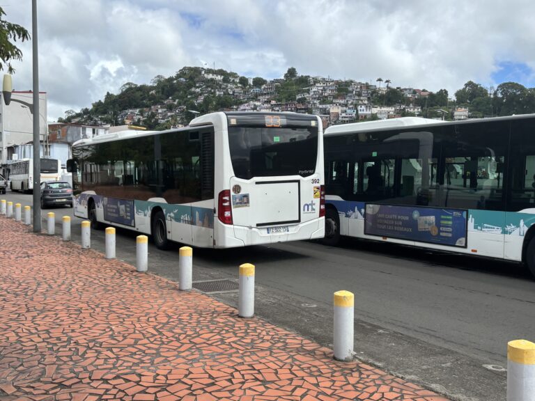 Plénière CTM du 29 janvier : Les élus s&rsquo;accordent sur le versement mobilité, la gestion des sargasses et l&rsquo;extension du TCSP