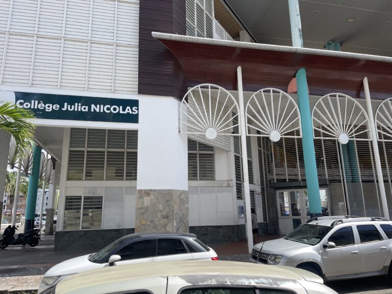 Débrayage au collège Julia-Nicolas après l’agression d’un adulte-relais