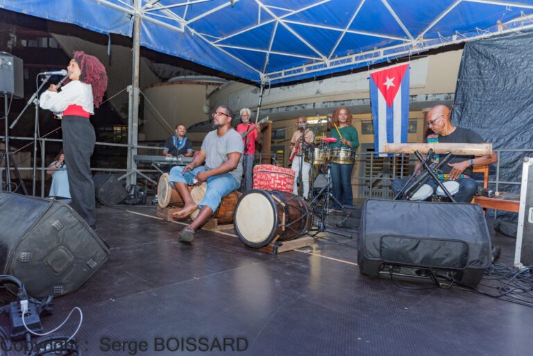 Bilan de la manifestation  de Solidarité avec Cuba