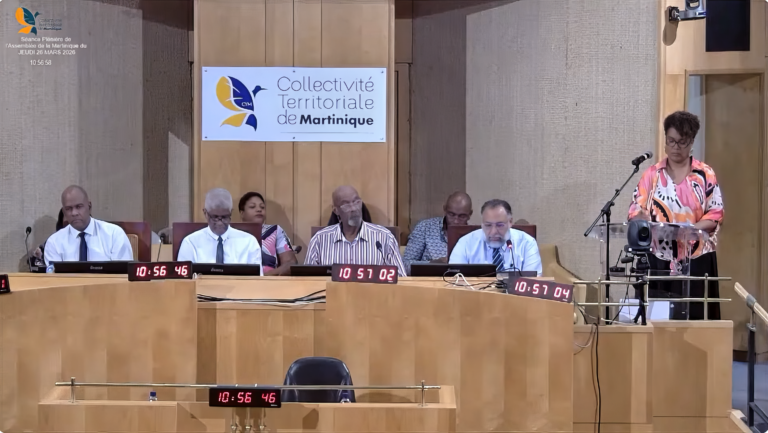 Plénière de la CTM du 26 mars : 30 rapports à l’ordre du jour dont l’accès aux fonds européens pour les petites structures