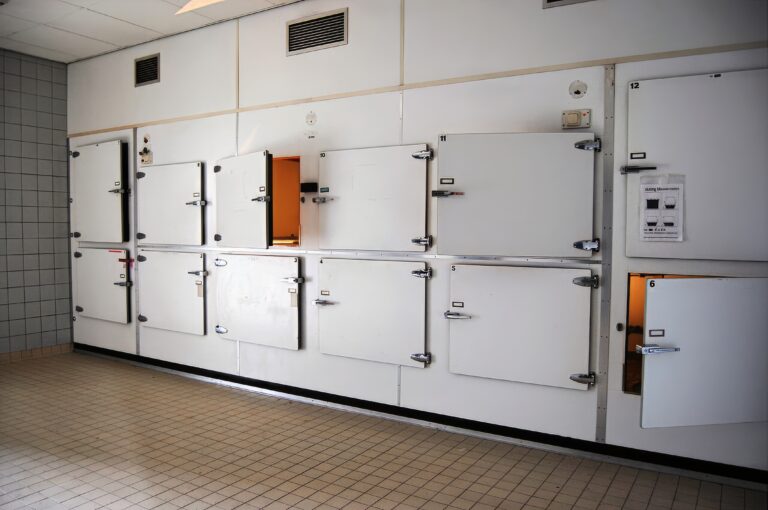 Des corps disparaissent de la morgue du CHU (14/05/2026)