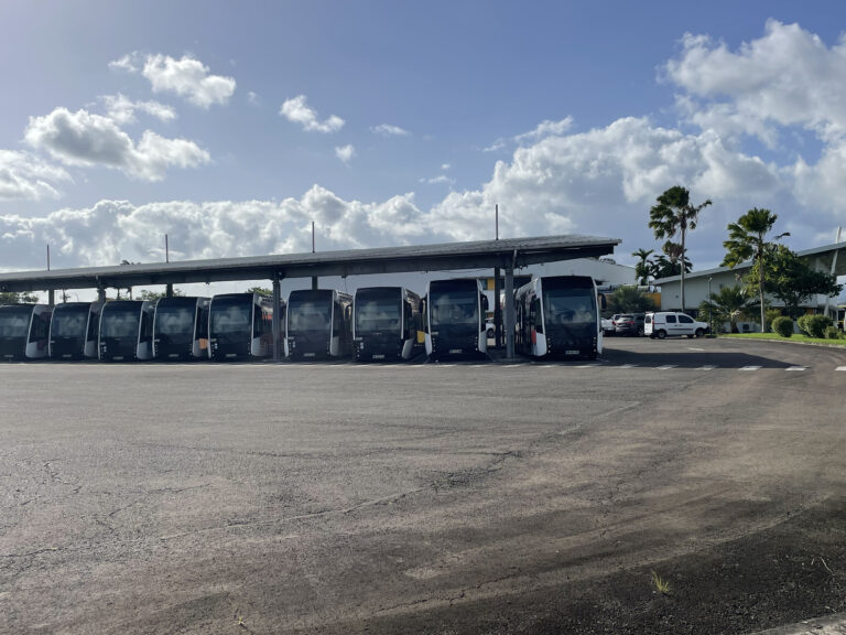 Martinique Transport : 44,6 millions d&rsquo;euros d&rsquo;impayés inscrits au budget 2026